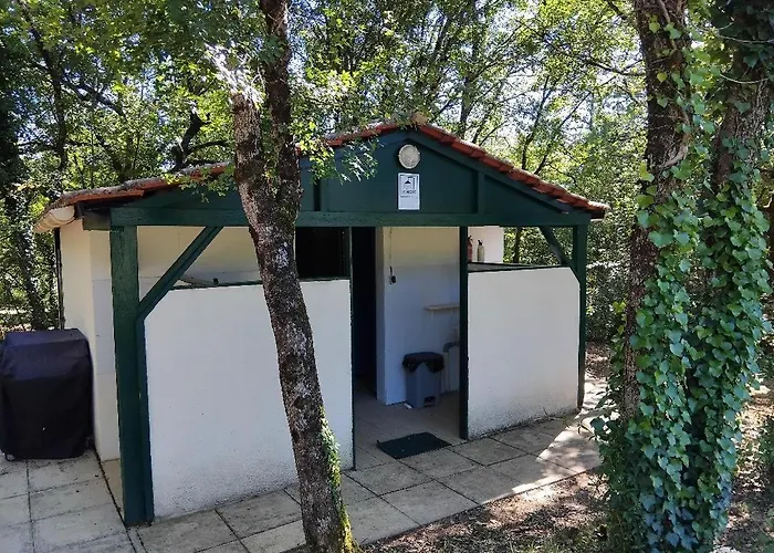 Emplacemement Tente En Foret