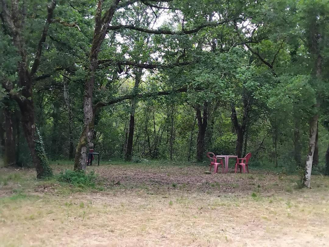 Emplacemement Tente En Foret Campsite *